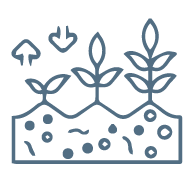 soil health-01