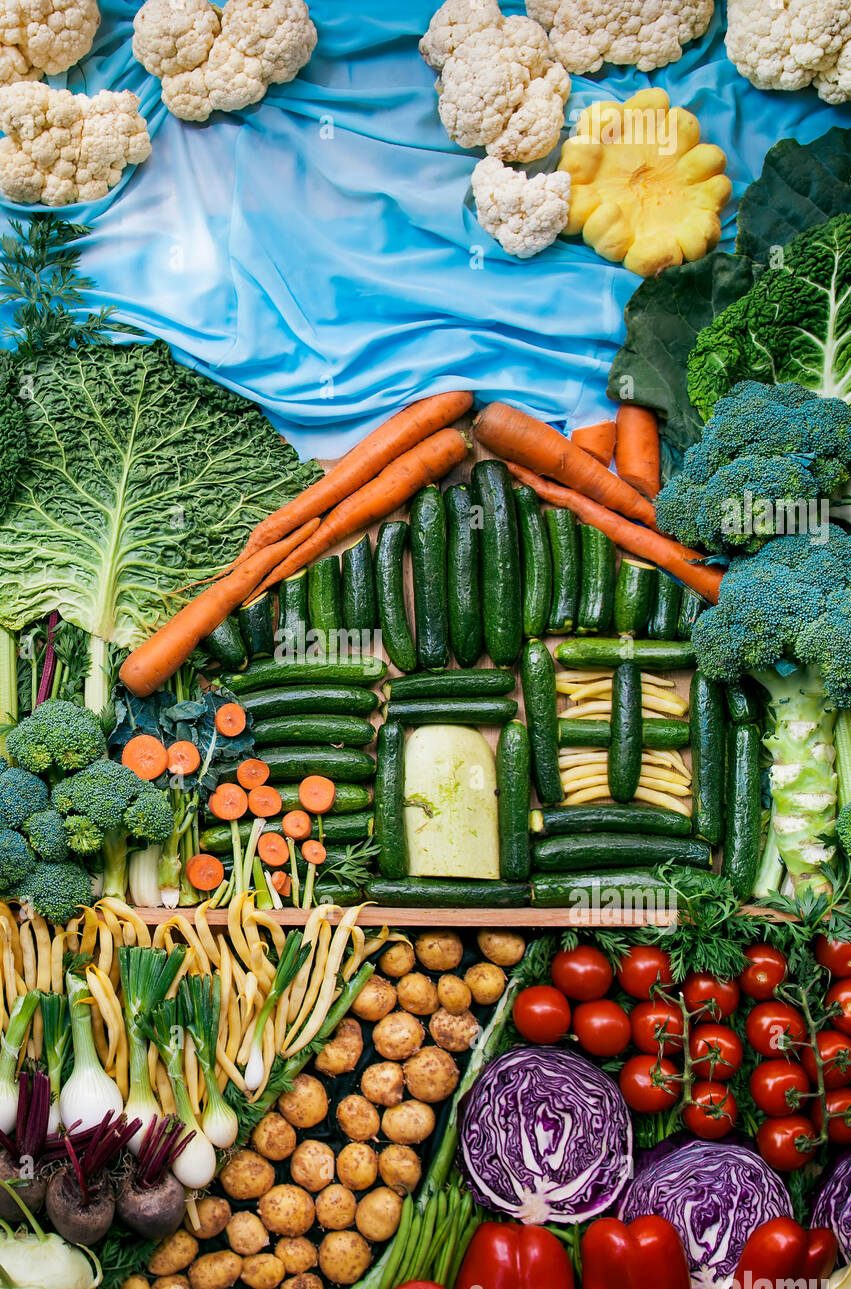 creative-landscape-made-with-assorted-organic-vegetables-MD1T0K